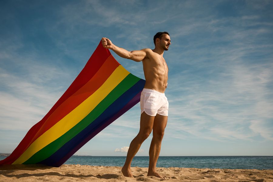 Modus Vivendi PRIDE